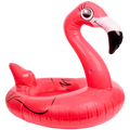 Flotador Cisne